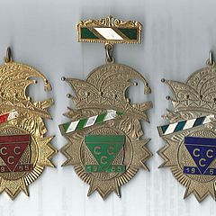 1954-1955