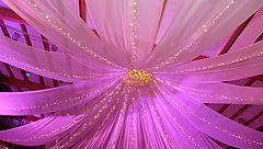 Dscf9390
