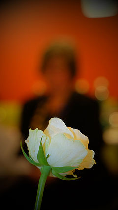 Dscf0535